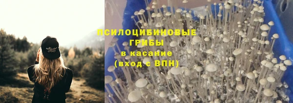 герыч Елабуга