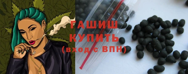 эйфоретик Щигры