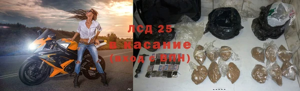 стафф Дмитров
