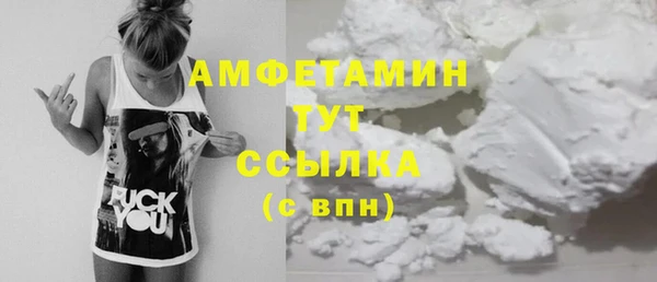 эйфоретик Щигры