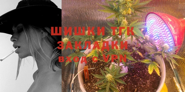 стафф Дмитров