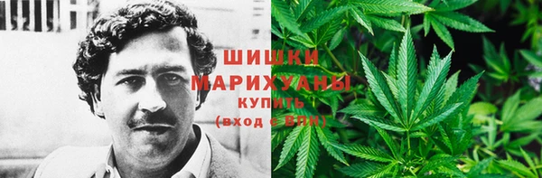 стафф Дмитров