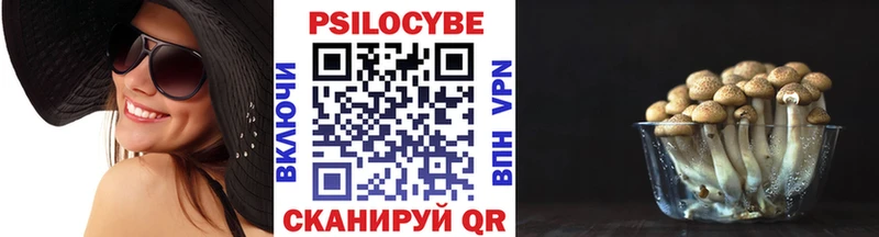 Псилоцибиновые грибы ЛСД  Купить  Северская 
